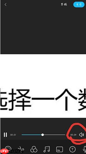 《云美摄》关闭视频原声方法  第2张