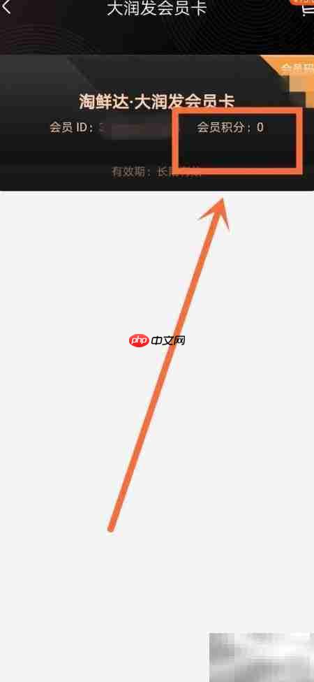 大润发积分查询方法  第6张