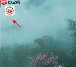 鄂汇办app发票真伪怎么查询-发票真伪查询方法