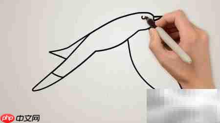 海鸥简笔画法轻松学  第4张