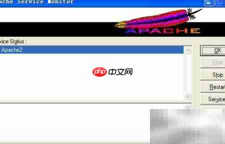 Apache服务器配置指南  第2张