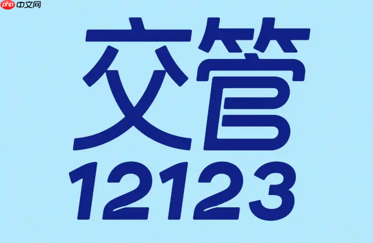 交管12123网页版登录入口 交管12123网页版便捷查询页面  第1张