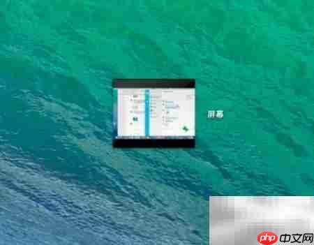 Mac上用QuickTime录屏教程  第9张