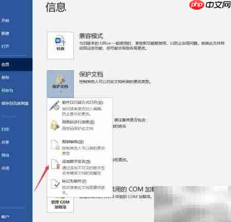Word文档添加数字签名方法  第6张