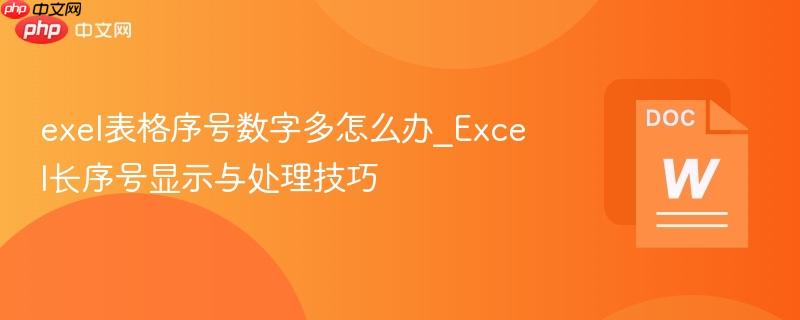 exel表格序号数字多怎么办_Excel长序号显示与处理技巧  第1张