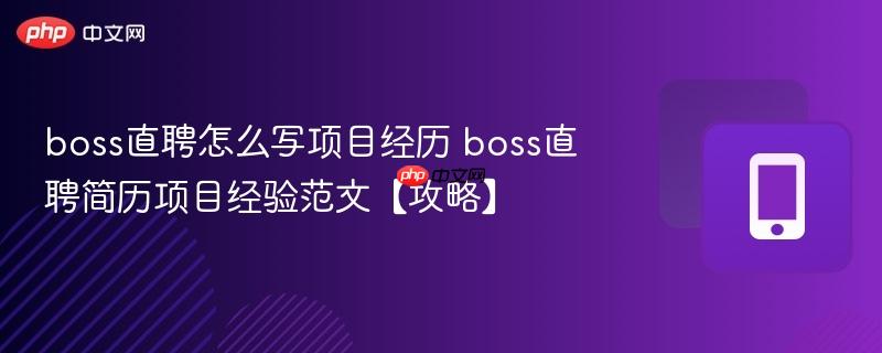 boss直聘怎么写项目经历 boss直聘简历项目经验范文【攻略】  第1张