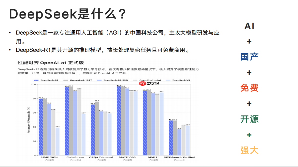 DeepSeek：技术专家的效率革命，开启工作新境界  第2张