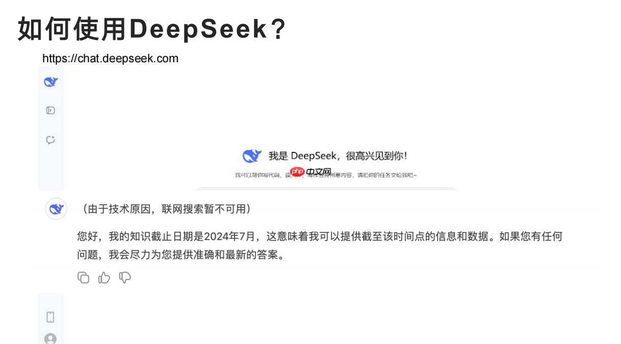 DeepSeek：技术专家的效率革命，开启工作新境界  第9张