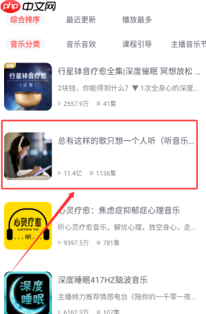 《喜马拉雅运动》听音乐方法  第3张