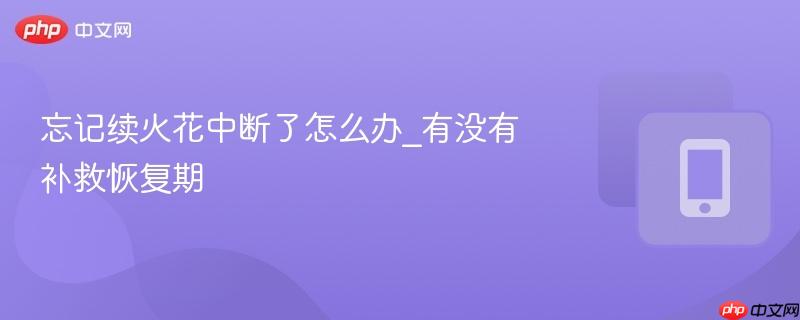 忘记续火花中断了怎么办_有没有补救恢复期