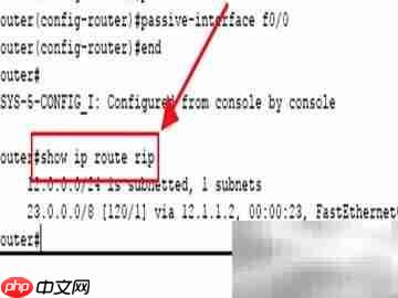 Cisco接口禁用RIP配置方法  第6张