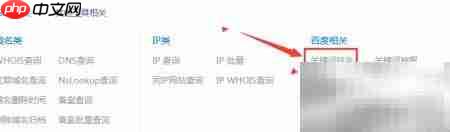 如何查询站长工具移动排名  第2张