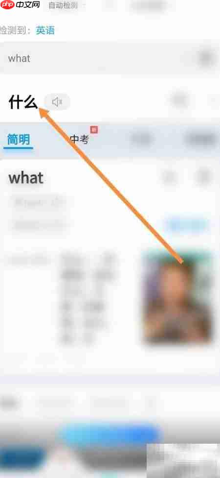 百度翻译英文方法指南  第5张