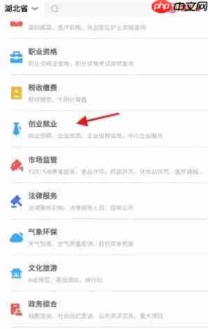 鄂汇办app怎么认定就业困难人员-就业困难人员认定方法  第5张