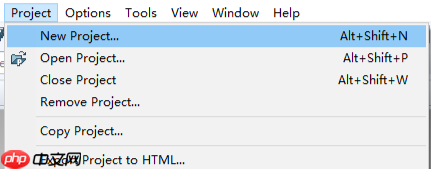 source insight怎么输入名字？source insight输入名字的步骤  第2张