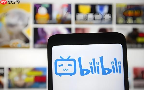 Bilibili官方网站登录通道 Bilibili网页版入口平台  第1张