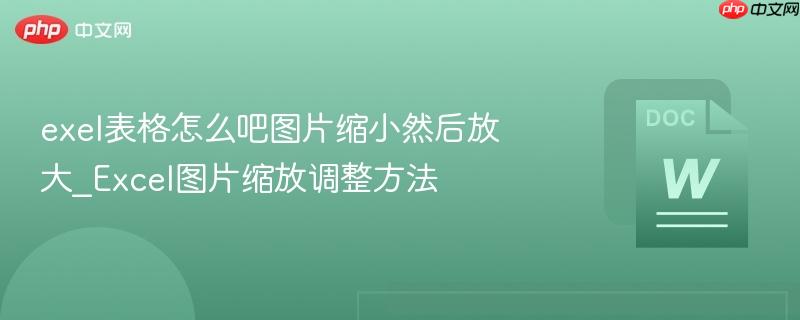 exel表格怎么吧图片缩小然后放大_Excel图片缩放调整方法  第1张