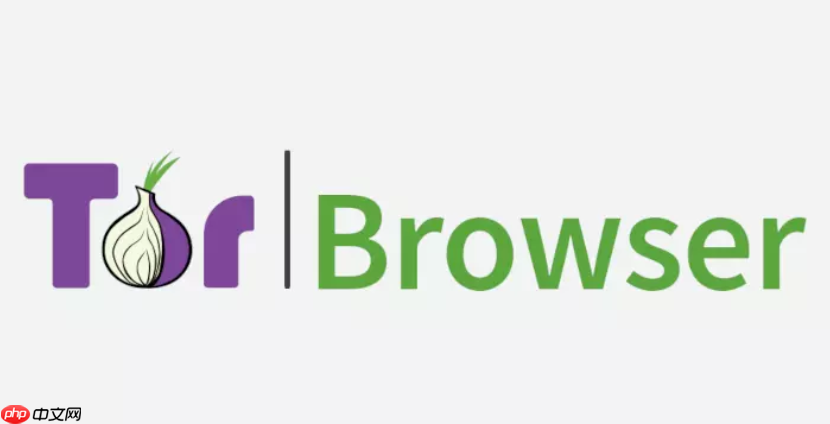 如何获取洋葱浏览器的网桥_洋葱浏览器内置与自定义网桥申请方法