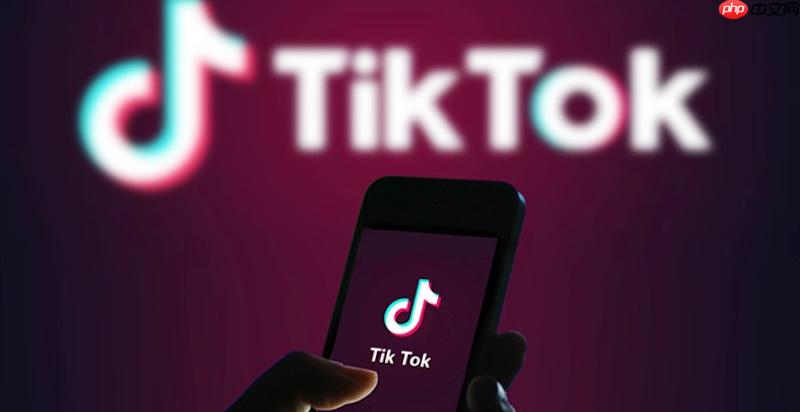 tiktok在线访问链接 tiktok网页版入口地址  第1张