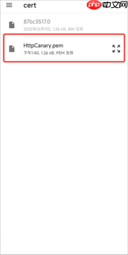 《黄鸟抓包》安装证书教程  第6张