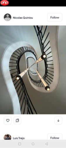 《pexels》下载图片方法