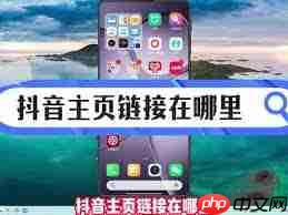 抖音主页链接如何复制  第3张