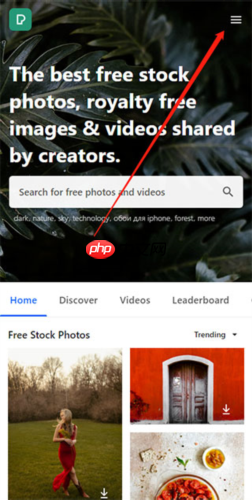 《pexels》中文设置方法  第1张