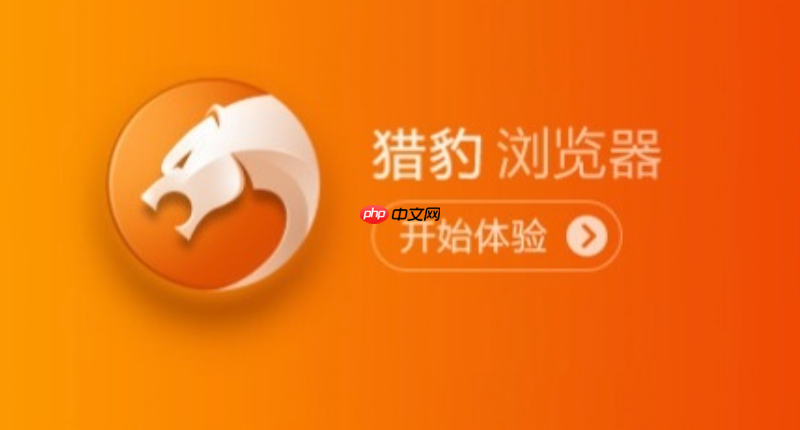 2025年猎豹安全浏览器入口 猎豹安全浏览器最新可用官方网站地址