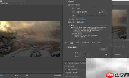 Premiere视频格式转换技巧  第7张