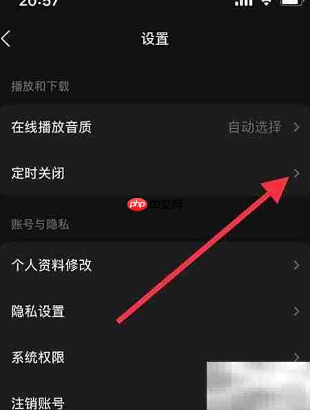 汽水音乐定时播放设置方法  第3张