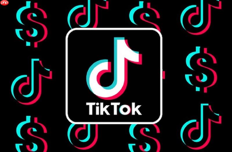 TikTok全球版官方网站入口 海外版抖音TikTok最新链接