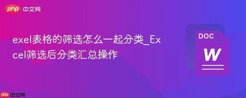 exel表格的筛选怎么一起分类_Excel筛选后分类汇总操作  第1张