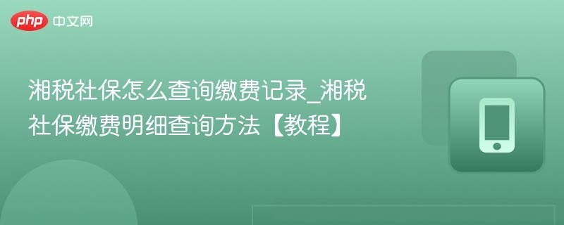 湘税社保怎么查询缴费记录_湘税社保缴费明细查询方法【教程】  第1张