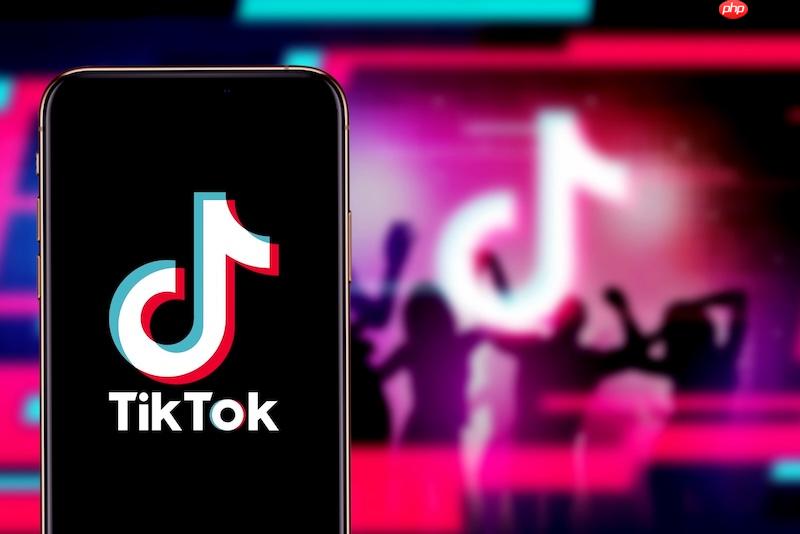 tiktok网页版官网入口_tiktok国际版登录链接  第1张
