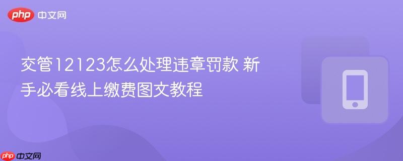交管12123怎么处理违章罚款 新手必看线上缴费图文教程