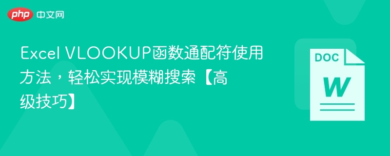 Excel VLOOKUP函数通配符使用方法，轻松实现模糊搜索【高级技巧】  第1张
