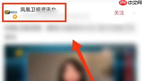 凤凰新闻进入凤凰卫视资讯台教程  第3张