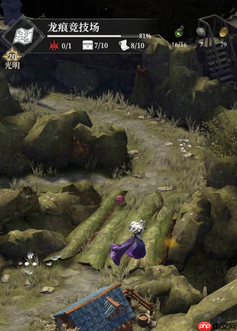 《地下城堡4：骑士与破碎编年史》龙痕竞技场徽记获取攻略