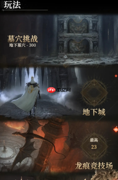 《地下城堡4：骑士与破碎编年史》龙痕竞技场徽记获取攻略  第3张