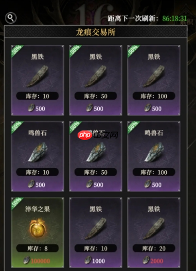 《地下城堡4：骑士与破碎编年史》龙痕竞技场徽记获取攻略  第4张