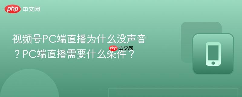 视频号PC端直播为什么没声音？PC端直播需要什么条件？