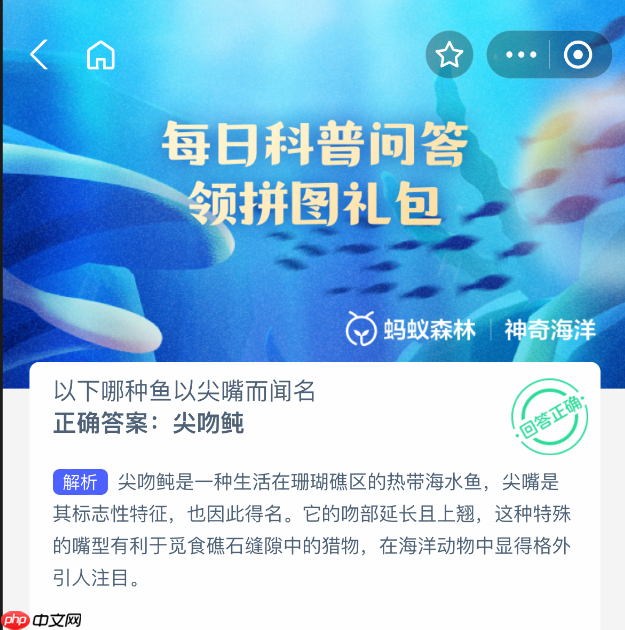 以下哪种鱼以尖嘴而闻名