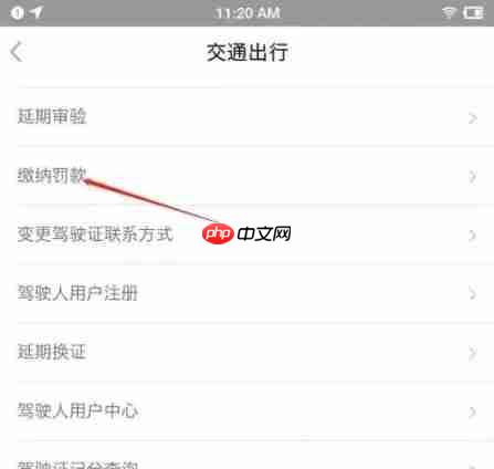 鄂汇办app怎么缴纳机动车罚款-机动车罚款缴纳入口  第3张