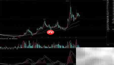 黑马股选股技巧揭秘