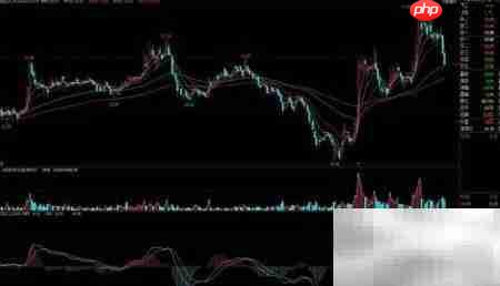 黑马股选股技巧揭秘  第5张