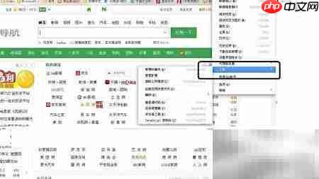 360浏览器截图工具设置指南  第2张