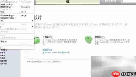 如何将视频导入iPad  第5张