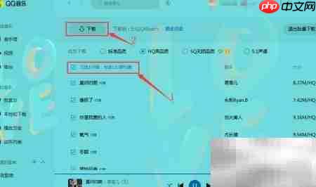 QQ音乐批量下载听歌记录  第4张