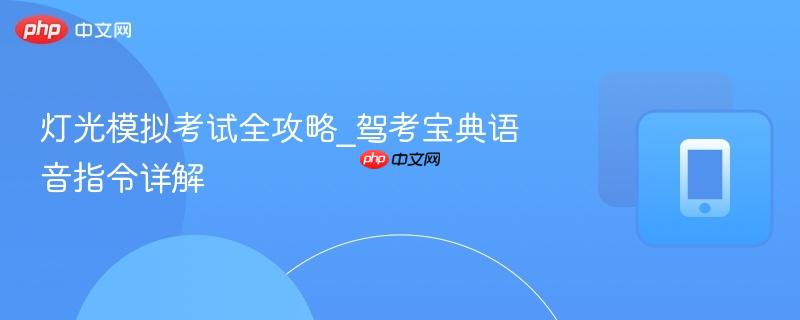 灯光模拟考试全攻略_驾考宝典语音指令详解  第1张