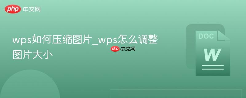 wps如何压缩图片_wps怎么调整图片大小  第1张